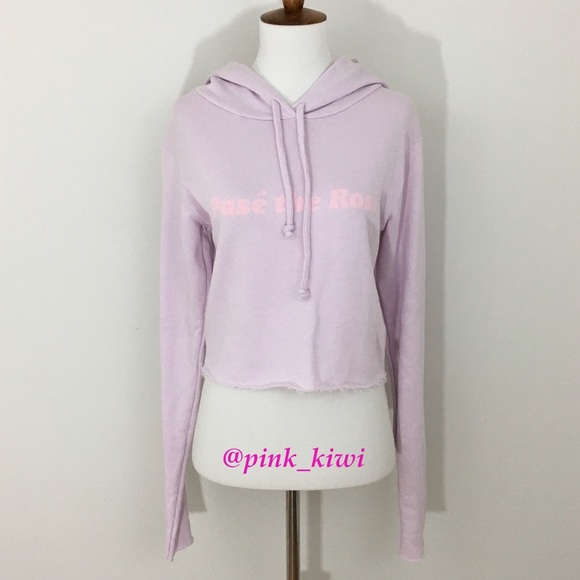 Wildfox Tops - ⬇️REDUCED❗️ Wildfox Pasé The Rosé Ivy Hoodie